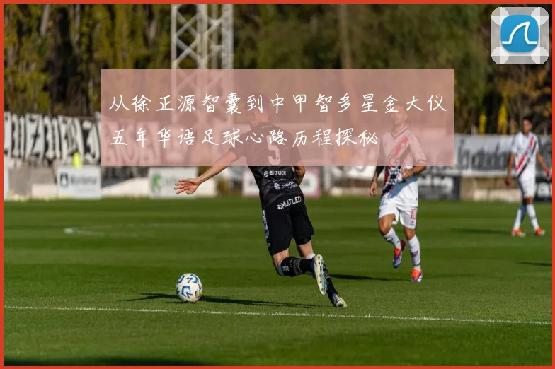 从徐正源智囊到中甲智多星金大仪五年华语足球心路历程探秘